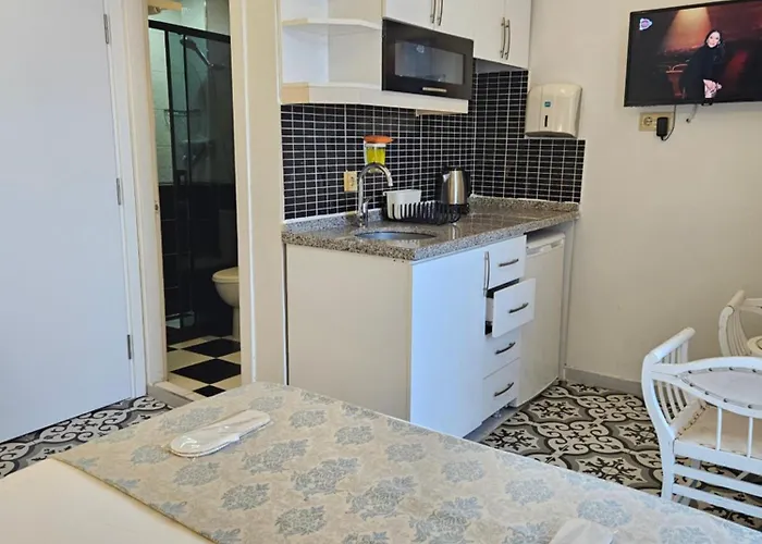 아파트호텔 레몬 3*